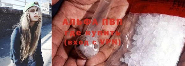 гидра Богородск