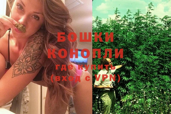 кокаин колумбия Белокуриха