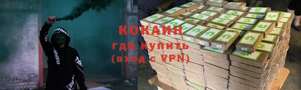 ECSTASY Богородицк