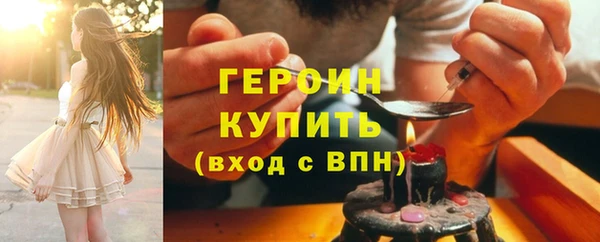 гидра Богородск