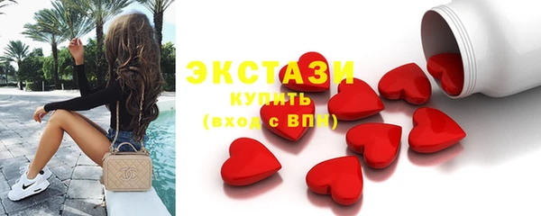 гидра Богородск