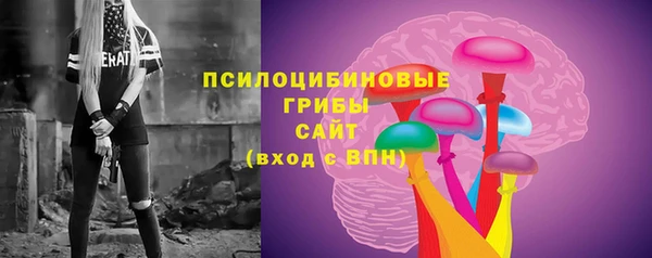 гидра Богородск