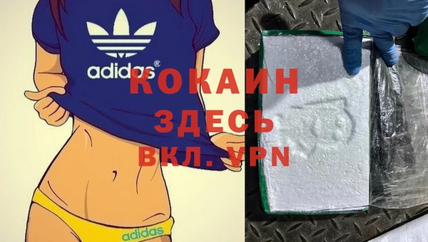 гидра Богородск