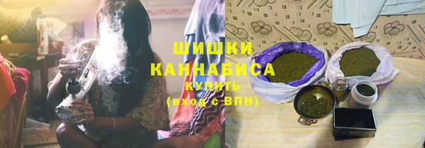 гидра Богородск