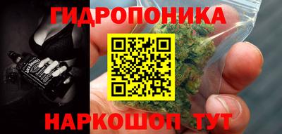 прущие крисы Гатчина